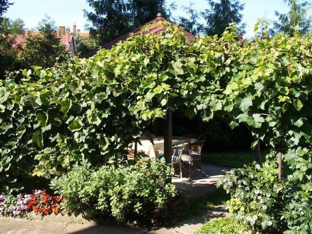 Pallosi Haz "A" Sárvár Exteriér fotografie